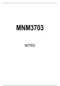 MNM3703 Summarised Study Notes