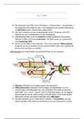 DNA - BVJ H.2 VWO (helder en volledig)