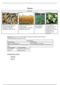 Samenvatting biologie - Planten (VWO 5)  