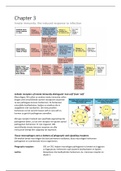 Hoofdstuk 9&colon; Innate immunity&colon; the induced response to infection 