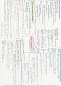 Social Psychology summary mind map page 2