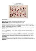 CONTEMPORARY SOUTH AFRICAN ART NOTES - IEB