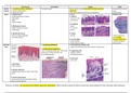 GIT Histology Exam Revision Summary 