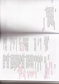AQA GCSE English Lit - macbeth act 4 annotations