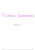 IEB Matric Business Studies Chapter one