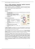 Tema 12. Sistema respiratorio: Organización, membrana respiratoria, volúmenes pulmonares, capacidades pulmonares y ventilación