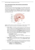 Tema 3. Sistema nervioso central: mapeo funcional