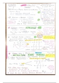 Organic chemistry Complete syllabus - A levels (All cycles drawn)