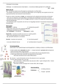 Celbiologie & Immunologie DT 1 + 2  - Tentamenstof alle colleges (incl. plaatjes)