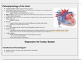 Cardiovascular disorders -All