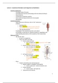 Anatomy I Exam I Lectures 1-10 
