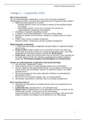 Colleges inleiding bestuurskunde 2020 - punten sheets   uitwerkingen
