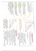 Document preview thumbnail