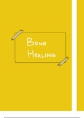Bone Healing 