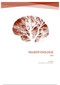 Samenvatting Neurofysiologie - deel Vandenberghe