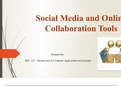 BIS 221 Week 4 Individual Assignment, Social Media and Online Collaboration Tools