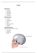 Informatie over het cranium