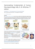 Samenvatting Fundamentals of Human Neuropsychology Kolb & Whishaw