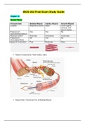 Chamberlain College of Nursing : BIOS 252 Final Exam Study Guide / BIOS252 Final Exam Study Guide (V4)(NEW, 2020) : Anatomy and Physiology-II (Verified, Download to score A)