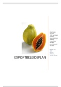exportbeleidsplan