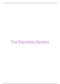 Excretory System Bundle