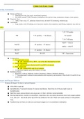 NR 340 Critical Care Exam 1 Study Guide (Version 3), NR 340 Critical Care Nursing, Verified Correct Documents
