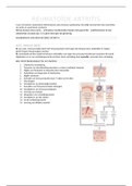 Reumatoïde artritis