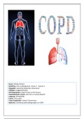 Ademhalingswegen en COPD uitwerking