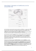 Neurofysiologie College 3 - Bouwplan en hoofdfuncties van het zenuwstelsel 