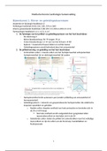 MK Cardiologie Samenvatting