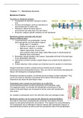 Cell biology -- chapter 20