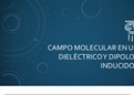 Seminario Tema: Campo molecular en un dielectrico y dipolos inducidos