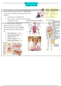 HESI Practice Exam - Pediatric Nursing