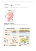 HC.7 Embryogenese hoofd-hals