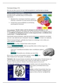 Samenvatting hoofdstuk 18: neuropsychology met plaatjes en voorbeelden