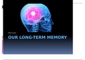 Our long-term memory