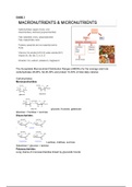 BBS3021: The Role of Nutrition in the Life Cycle in Relation to Global Health (Exam Study Guide)