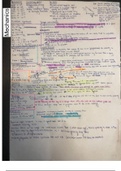 BUNDLE - Full semester PHYSICS160 notes and cheat sheet summaries