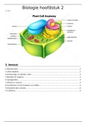 Biologie SH2 Cellen 