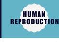 Human Reproduction Grade 12 CAPS