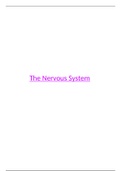 The Nervous System Notes