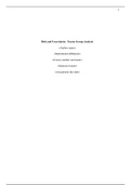 Risk and Uncertainty Company Analysis.pdf