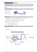 INTRODUCTION TO NEURONS