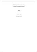 ENG 122 SOUTHERN NEW HAMPSHIRE UNIVERSITY FINAL ESSAY CRITICAL ANALYSIS