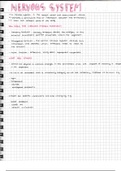 Life science notes-The nervous system