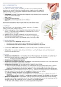 Samenvatting Inleiding in de ziekteleer - les 2 leverziekten