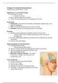 Lectures Neuropsychological Disorders