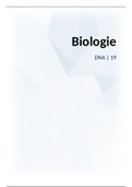 Samenvatting Biologie Hoofdstuk 19 DNA 6 vwo