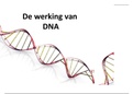 Powerpoint Biologie (Biologie voor jou) Hoofdstuk 2 DNA