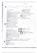 Ch 7-10 Biology Notes Cute